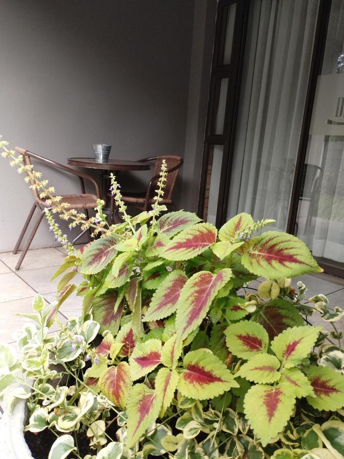Ditsaleng Bed And Breakfast Vanderbijlpark ภายนอก รูปภาพ